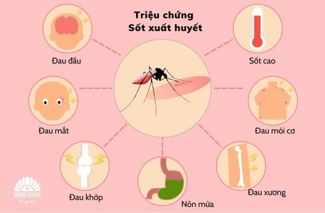 Trên địa bàn huyện Hoa Lư ghi nhận 26 ca sốt xuất huyết Dengue