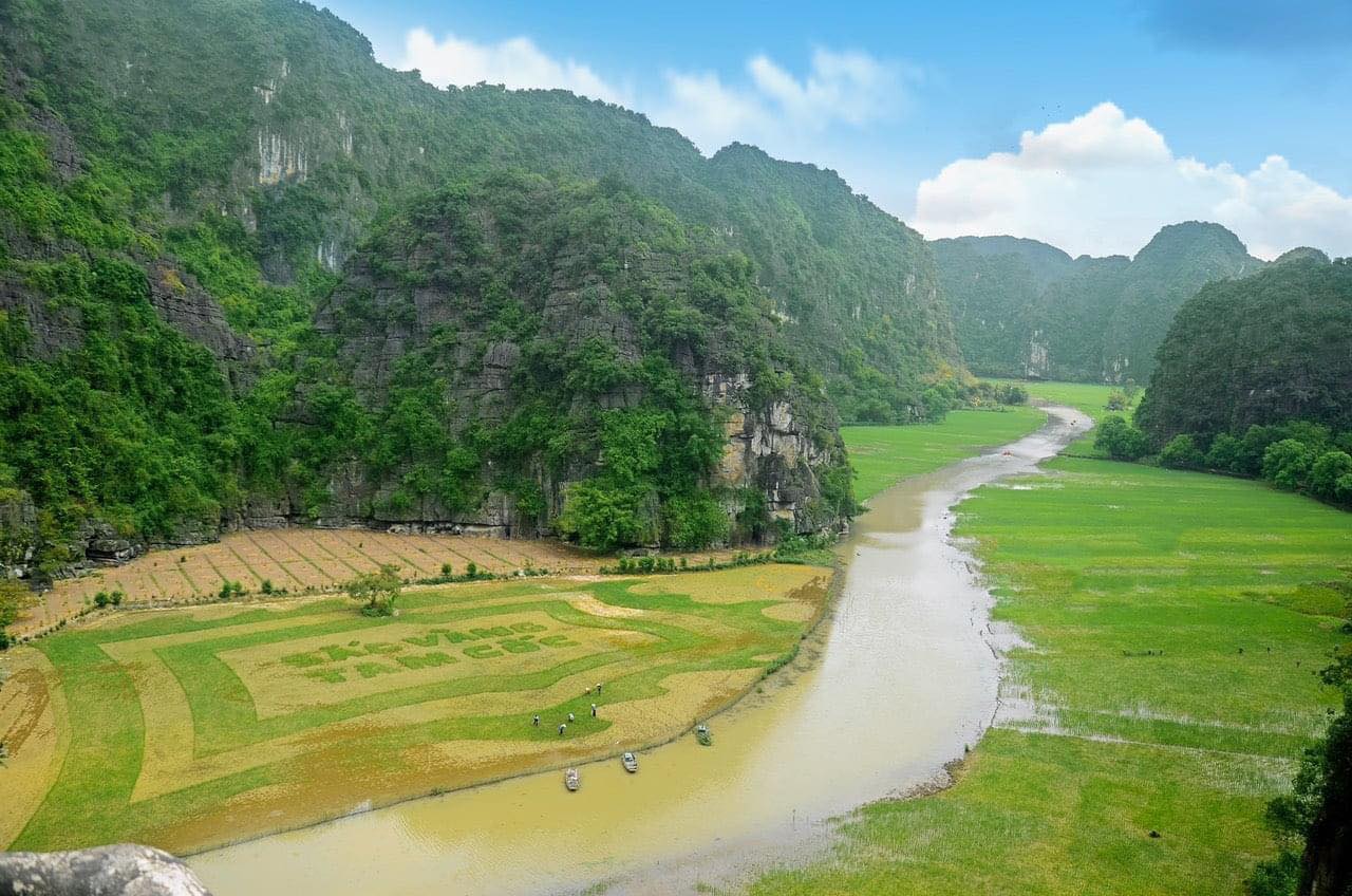 Hội Liên hiệp Phụ nữ xã Ninh Hải, huyện Hoa Lư xây dựng cánh đồng lúa 